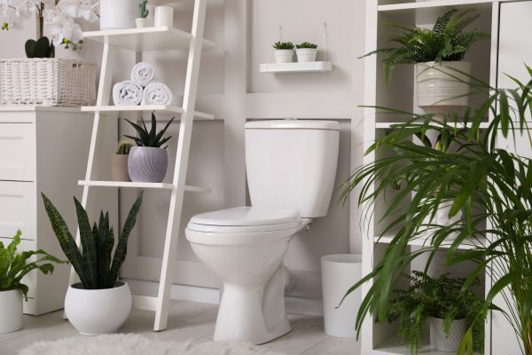 Cost of Toilet Repair in Sevierville