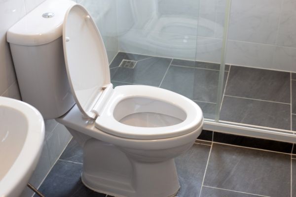 Toilet Replacement in Sevierville