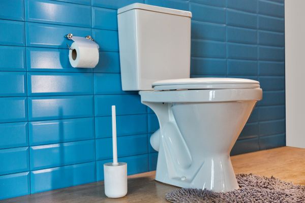 Cost of Toilet Tank Repair in Sevierville