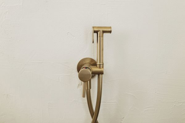 Bidet Plumbing in Sevierville