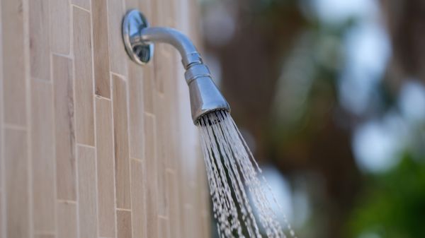 Cost of Showerhead Repair in Sevierville