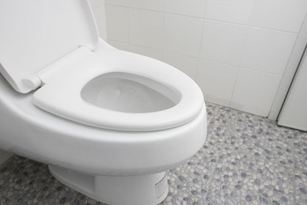 Cost of New Toilet Installation in Sevierville